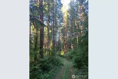 4 Tract Parpala Road, Naselle, WA 98638 - Photo 14