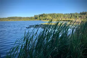 2813 Bona Vista Dr SW, Olympia, WA 98512 - Photo 28