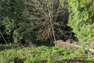 154 Valley View Dr, Mossyrock, WA 98564 - Photo 22