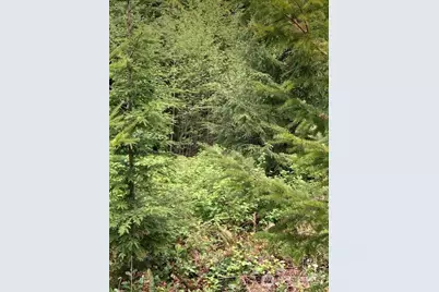 53 Dunsmuir Road, Port Ludlow, WA 98365 - Photo 4