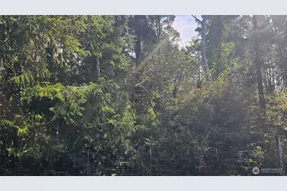 24402 P Street, Ocean Park, WA 98640 - Photo 24