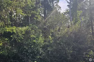 24402 P St, Ocean Park, WA 98640 - Photo 24