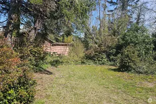 24402 P St, Ocean Park, WA 98640 - Photo 6