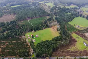 1962 Hwy 603, Winlock, WA 98596 - Photo 38