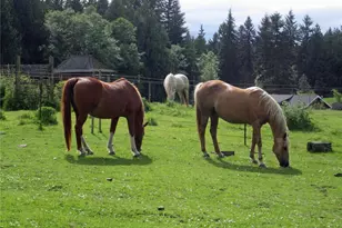 6255 Turkey Hill Rd, Clinton, WA 98236 - Photo 4