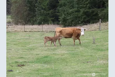 6255 Turkey Hill Road, Clinton, WA 98236 - Photo 36