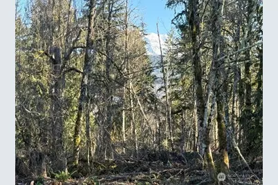 29512 152nd Avenue E, Graham, WA 98338 - Photo 1