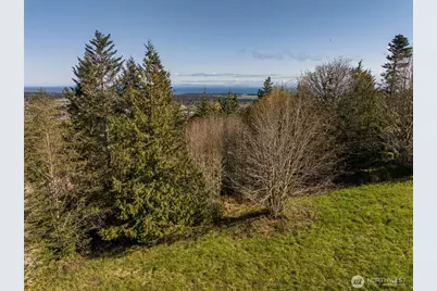 999 Ravens Ridge Road, Sequim, WA 98382 - Photo 10