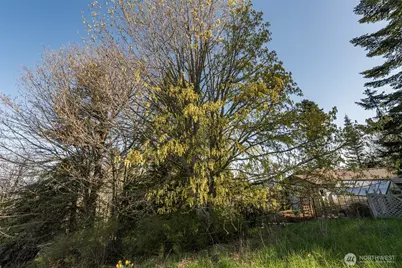 999 Ravens Ridge Road, Sequim, WA 98382 - Photo 18