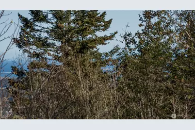 999 Ravens Ridge Road, Sequim, WA 98382 - Photo 14