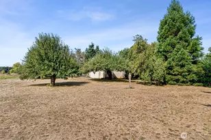 379 Twin Oaks Rd, Chehalis, WA 98532 - Photo 28