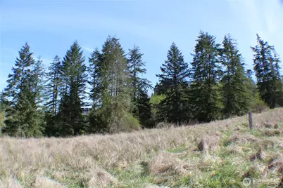 999 Oso Vista Court, Sequim, WA 98382 - Photo 18