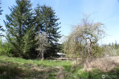 999 Oso Vista Court, Sequim, WA 98382 - Photo 6