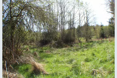 999 Oso Vista Court, Sequim, WA 98382 - Photo 20