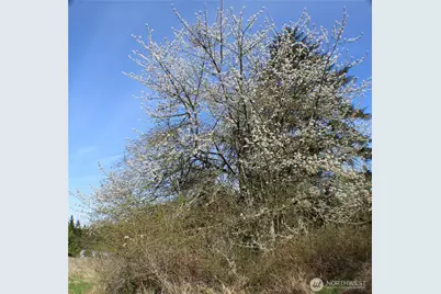 999 Oso Vista Court, Sequim, WA 98382 - Photo 2