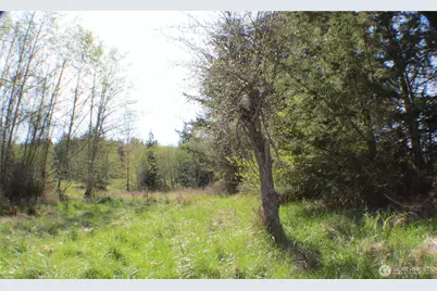 999 Oso Vista Court, Sequim, WA 98382 - Photo 12