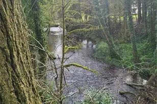 1337 Coal Creek Rd, Longview, WA 98632 - Photo 34