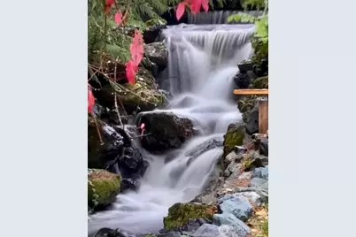 165 Nisqually Way, Ashford, WA 98304 - Photo 36