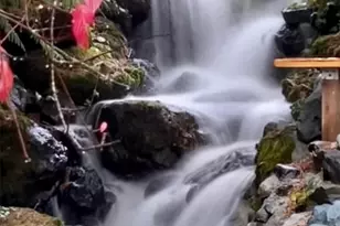 165 Nisqually Way, Ashford, WA 98304 - Photo 36