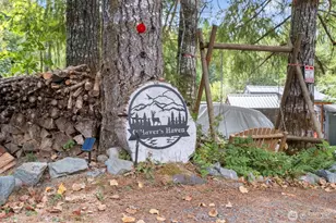 165 Nisqually Way, Ashford, WA 98304 - Photo 32