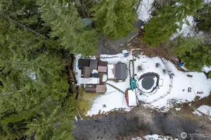 165 Nisqually Way, Ashford, WA 98304 - Photo 34