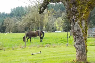 2958 US Hwy 12, Silver Creek, WA 98585 - Photo 32