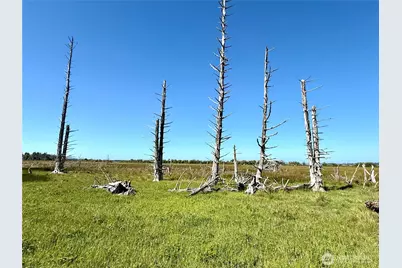 114 E Bayview Lane, Westport, WA 98595 - Photo 20