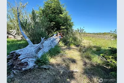 114 E Bayview Lane, Westport, WA 98595 - Photo 24