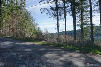 50215 146th Avenue E, Eatonville, WA 98328 - Photo 6