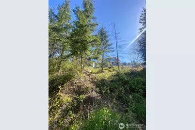 20555 Benson Ridge Lane, Mount Vernon, WA 98274 - Photo 38