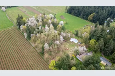 1822 E Pole Road, Everson, WA 98247 - Photo 12