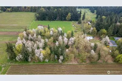 1822 E Pole Road, Everson, WA 98247 - Photo 14