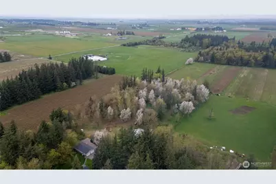 1822 E Pole Road, Everson, WA 98247 - Photo 10