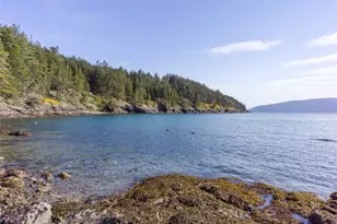 557 Old Sentinel Rd, Orcas Island, WA 98279 - Photo 18