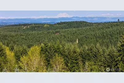 160 Scenic Ridge Drive, Chehalis, WA 98532 - Photo 6