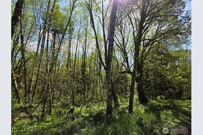 0 Mill Falls Lane, Longview, WA 98632 - Photo 6