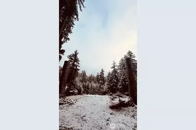 11101 Riverview Drive E, Greenwater, WA 98022 - Photo 8