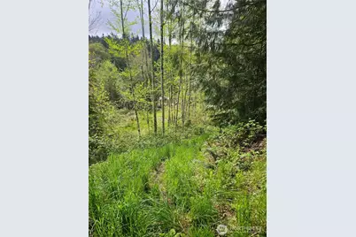 0 Xxx Crescent Beach Road NW, Vaughn, WA 98394 - Photo 10