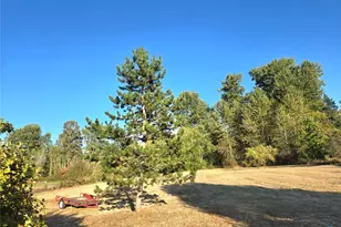 13711 Vickery Ave E, Tacoma, WA 98446 - Photo 38