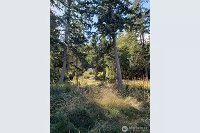 0 Raccoon Point Road #Lot 2, Orcas Island, WA 98245 - Photo 12