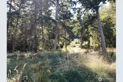 0 Raccoon Point Road #Lot 2, Orcas Island, WA 98245 - Photo 10