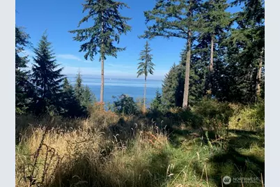 0 Raccoon Point Road #Lot 2, Orcas Island, WA 98245 - Photo 18