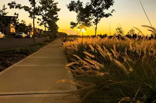 23985 Site 266 SE Emerald St, Black Diamond, WA 98010 - Photo 16