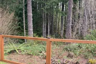 510 N Dow Mountain Dr, Hoodsport, WA 98548 - Photo 6