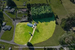 147 Zola Dr E, Cinebar, WA 98533 - Photo 36