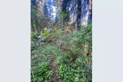 0 Ninth Avenue, Aberdeen, WA 98520 - Photo 2