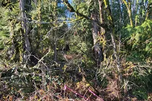 0 Nevada Ave & Michigan St, Manchester, WA 98353 - Photo 4