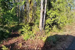 0 Nevada Ave & Michigan St, Manchester, WA 98353 - Photo 2