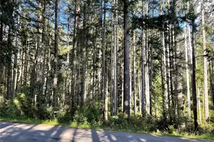 11024 Cascade Pl, Anderson Island, WA 98303 - Photo 1