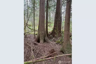 0 Xxxxx W Shore Drive, Mount Vernon, WA 98274 - Photo 4